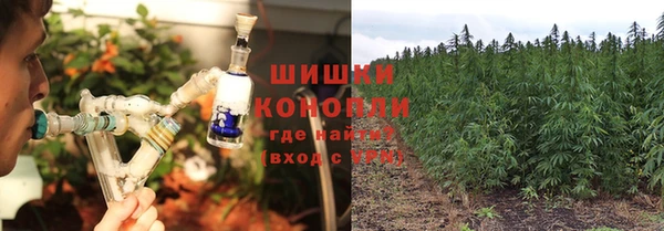 мет Магас