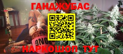 гидра Кингисепп