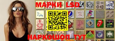 гидра Кингисепп