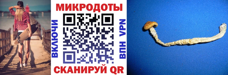 Галлюциногенные грибы GOLDEN TEACHER  Невинномысск 
