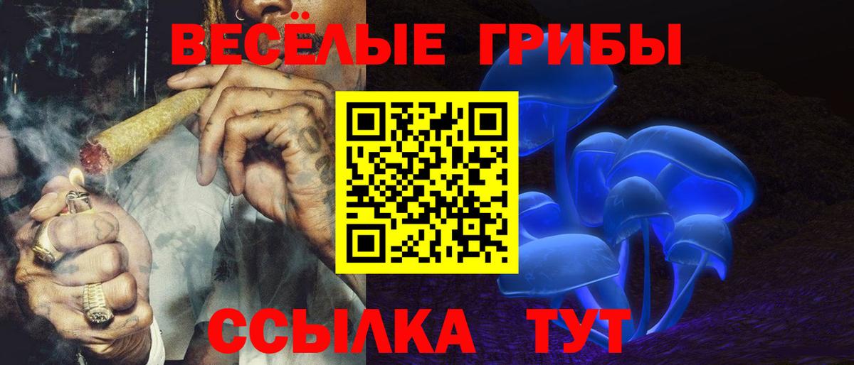 наркошоп  Псилоцибиновые грибы мицелий  Вход с VPN  Невинномысск 